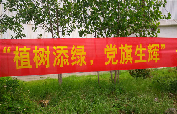 襄陽重材“改善”日：黨員一棵樹，支部一片林